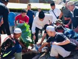Spektakuler Pertamakalinya Korem 132/Tdl Sembelih 32 Hewan Kurban
