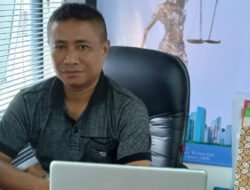 SOMASI : Pangkalan Kayu Diduga Ilegal di Halmahera Selatan Menjamur