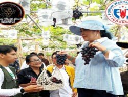 Direktur Buah dan Florikultura-Liferdi Lukman dampingi Kunjungan Komisi IV DPR RI ke Kebun Anggur Firizco (ASPAI)
