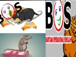 Pengelolaan Dana BOS SDN 313 Kaliba Walenrang Dipertanyakan, Ada Kejanggalan?