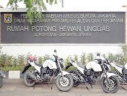 Seorang Warga Mengaku Dicurangi di Rumah Potong Hewan Unggas