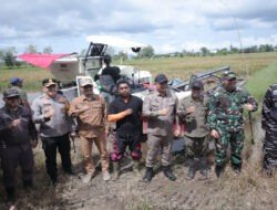 Dukung Swasembada Pangan, Kapolres Ketapang Bersama Forkopimda Hadiri Panen Raya Padi di Muara Pawan