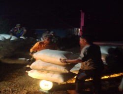 Siang Malam Tanpa Kenal Lelah, Danpos Ujungjaya Terus Genjot Serapan Gabah di Wilayah Koramil 1009/Tomo