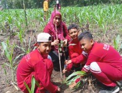 MTS Tarbiyatus Sa’adah Bejan Gandeng CDK Bojonegoro bersama 3 Pilar Giat Tanam Pohon