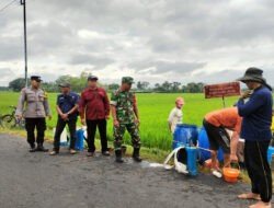 Dari Parit ke Parit, TNI Bersama Petani Berjuang Hadang Serangan Hama di Sawah Trenggalek