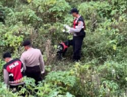Berkat Anjing Unit K-9 Polda Jatim Indentitas Korban Mutilasi Pacet Berhasil Terungkap