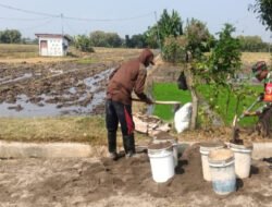 Jamin Ketersediaan Air, Babinsa Kodim Ponorogo Bantu Warga Bangun Saluran Irigasi