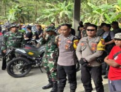 Gabungan TNI Polri Dan Ratusan Masyarakat Terlibat Pencarian Serentak Terhadap Pelaku Penganiayaan Berdarah