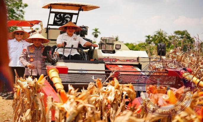 Panen Raya Kuartal III Polri Hasilkan 751 Ribu Ton Jagung, Bukti Nyata Dukung Swasembada Pangan