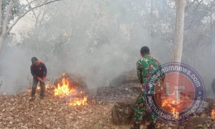 Reaksi Cepat Babinsa Kodim Ponorogo Bantu Padamkan Kebakaran Hutan